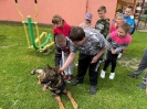 obrázok_43