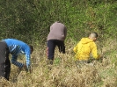 Čistenie lúky_10
