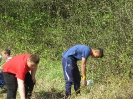 Čistenie lúky_16