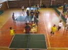 Stolný tenis_29
