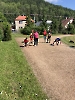 obrázok_12