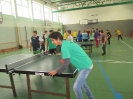 Stolný tenis_6
