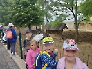 obrázok_16
